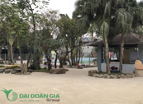 khu vui chơi giải trí và ẩm thực trâu vàng