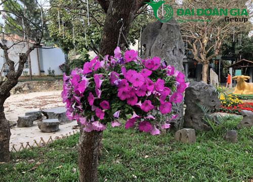 khu vui chơi giả trí và ẩm thực trâu vàng
